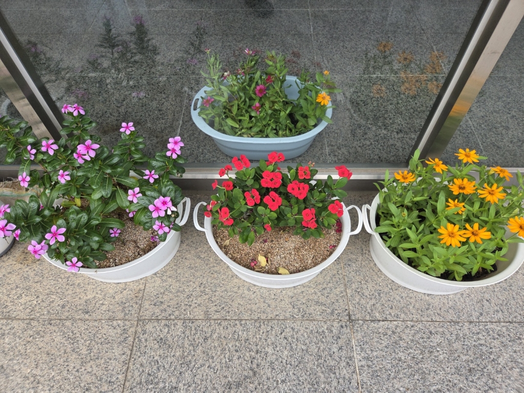 가을맞이 요양원 환경정리