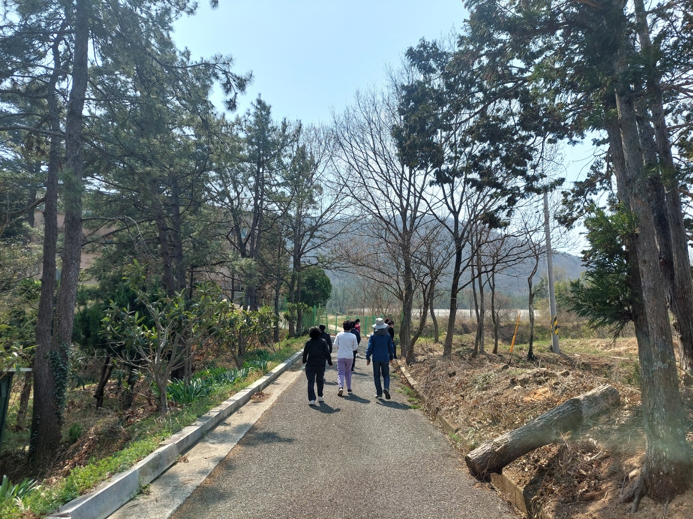 따로 또 같이!건강 해~남 챌린지